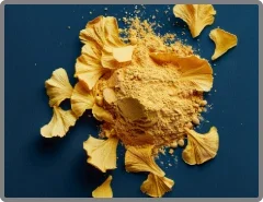 Ginkgo-Biloba-Powder.webp